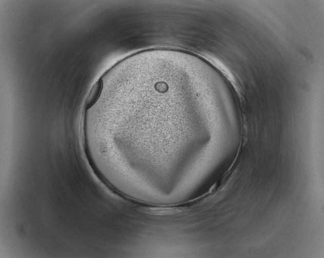 X0000116811391200912311947