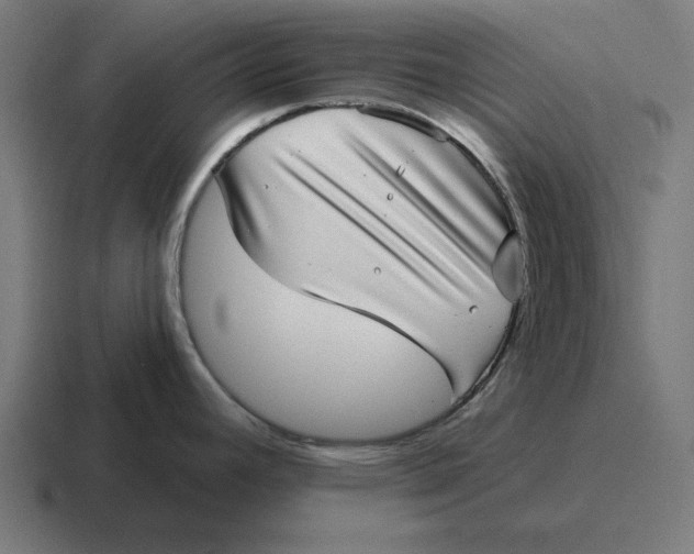 X0000116811392200912311947