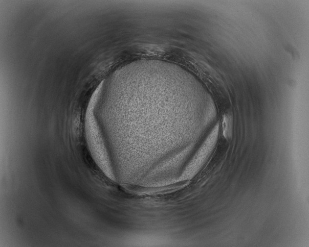 X0000116811395200912311946