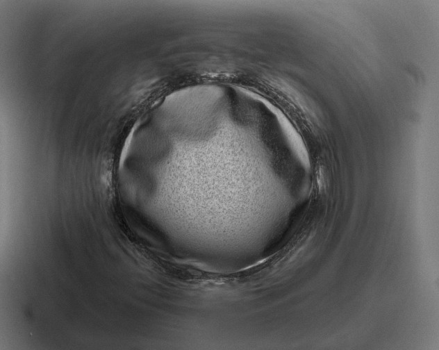 X0000116811396200912311946