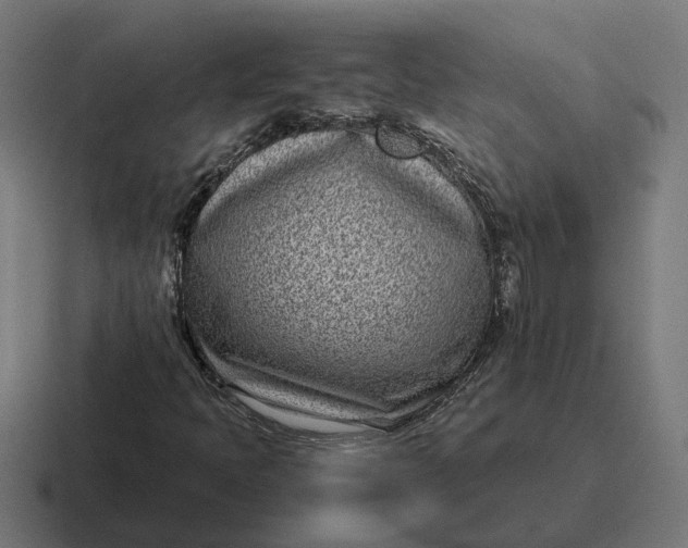 X0000116811397200912311946