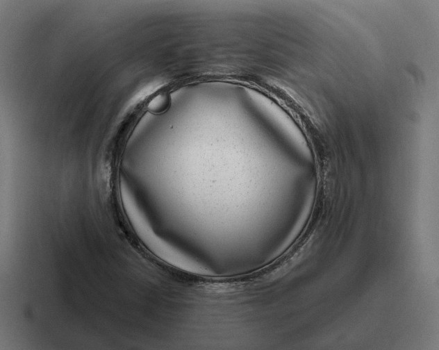 X0000116811402200912311946