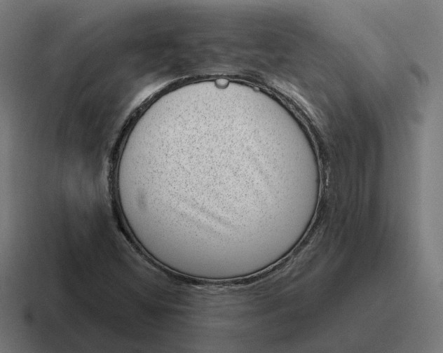 X0000116811404200912311946