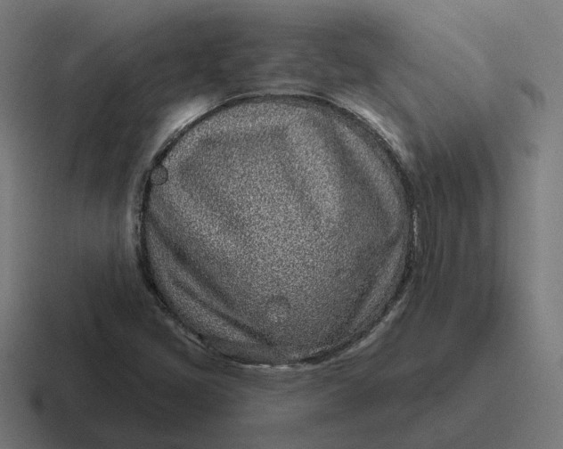 X0000116811405200912311946