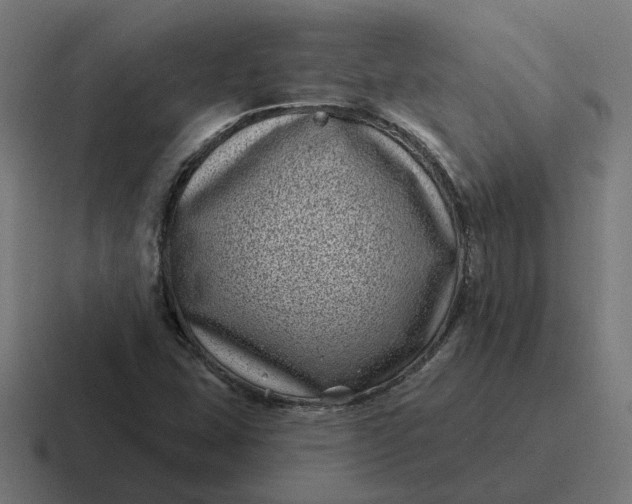 X0000116811407200912311946