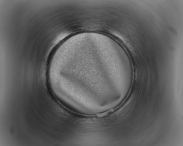 X0000116811410200912311947