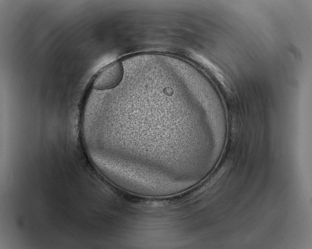 X0000116811411200912311947