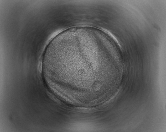 X0000116811413200912311947