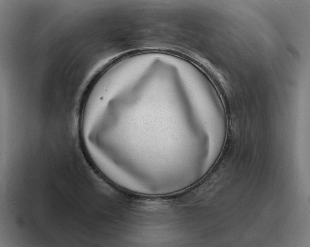 X0000116811416200912311947