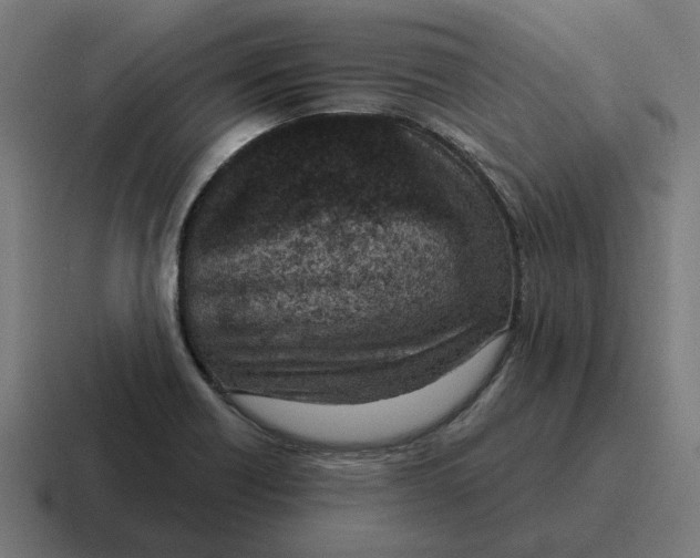 X0000116811418200912311947