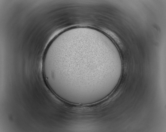 X0000116811420200912311947