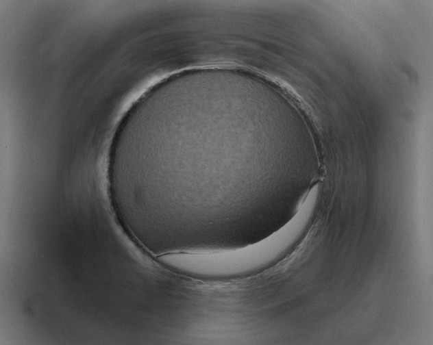 X0000116811422200912311947