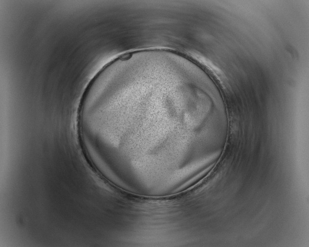 X0000116811423200912311947