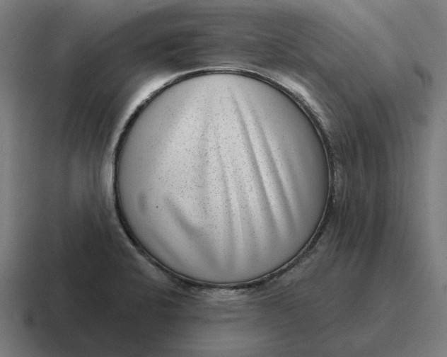 X0000116811424200912311947