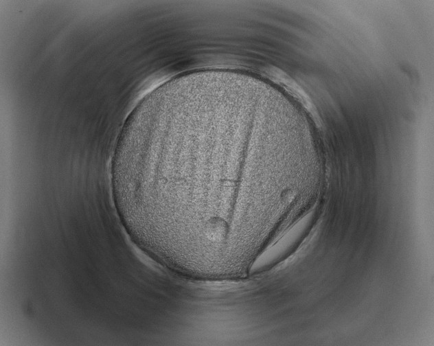 X0000116811425200912311947