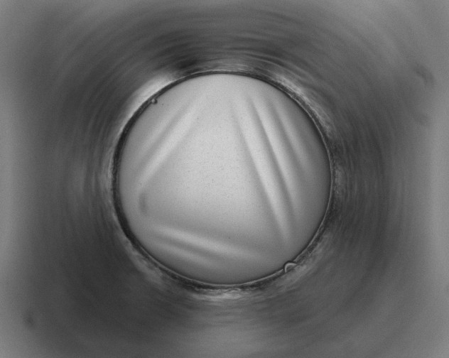 X0000116811426200912311947