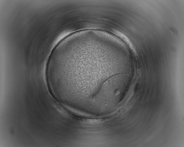 X0000116811427200912311947