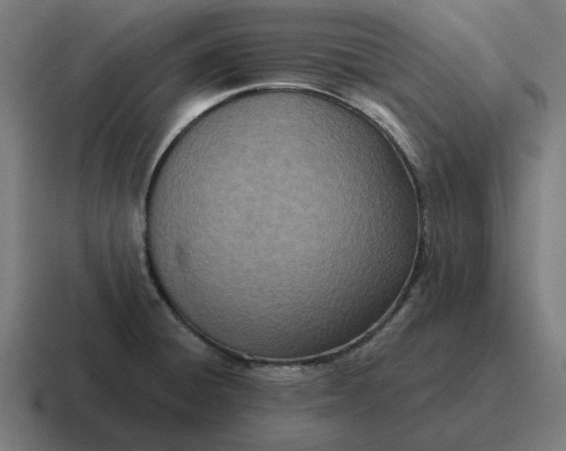 X0000116811428200912311947