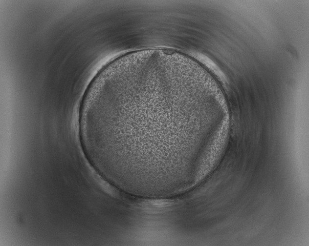 X0000116811431200912311947