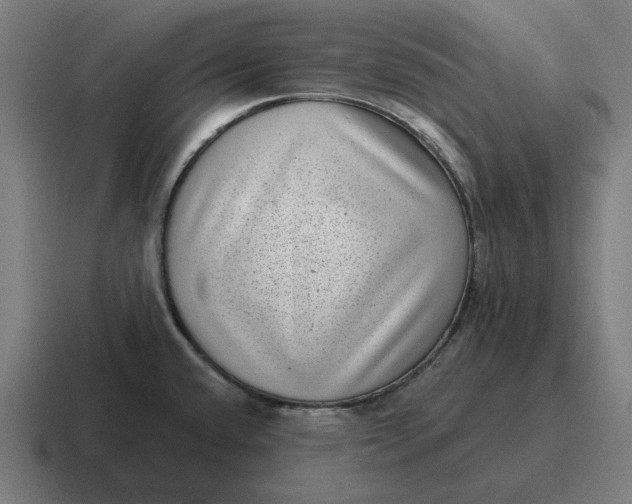 X0000116811432200912311947