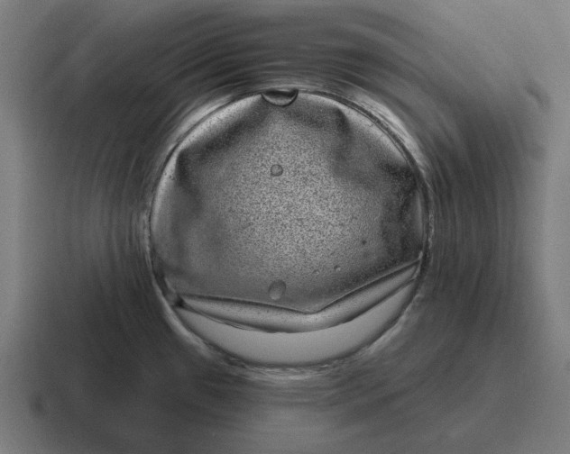 X0000116811433200912311947