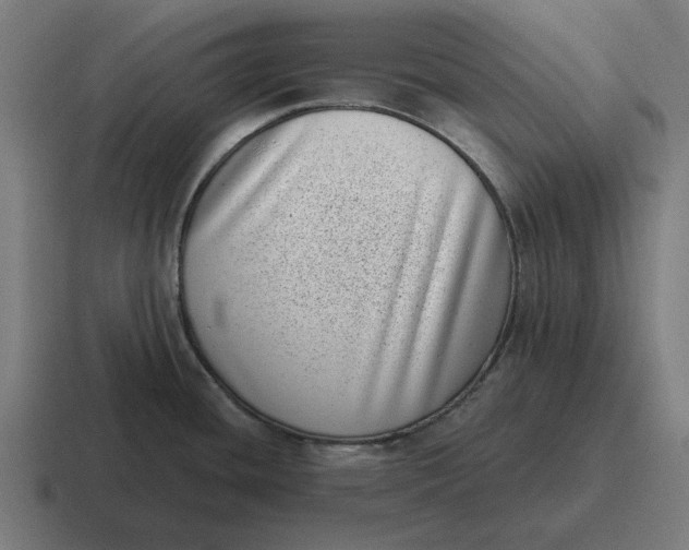 X0000116811436200912311947