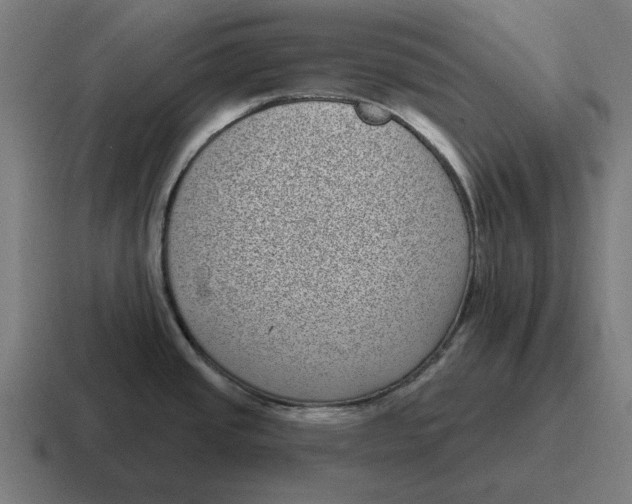 X0000116811437200912311947