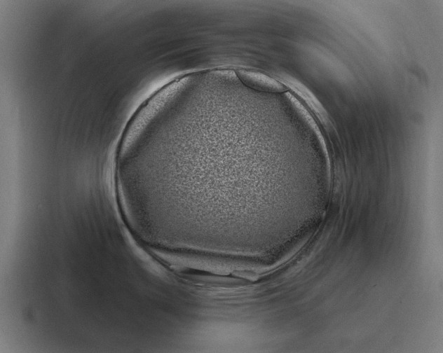 X0000116811439200912311947