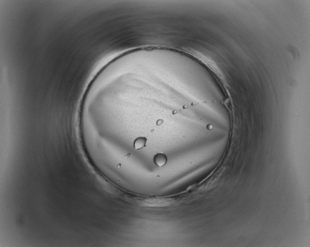 X0000116811440200912311947