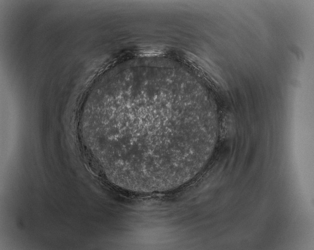 X0000116811441200912311946