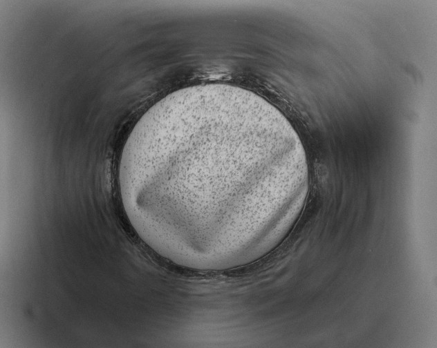 X0000116811442200912311946