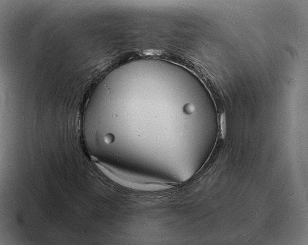 X0000116811443200912311946