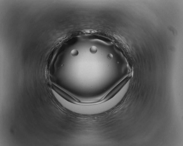 X0000116811444200912311946