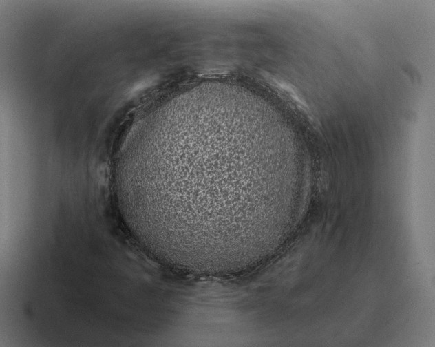 X0000116811445200912311946