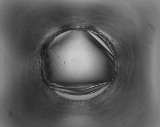 X0000116811447200912311946