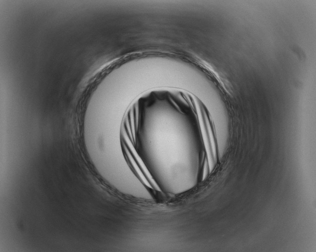 X0000116811448200912311946