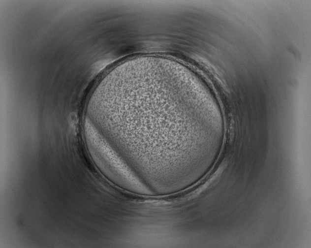 X0000116811449200912311946