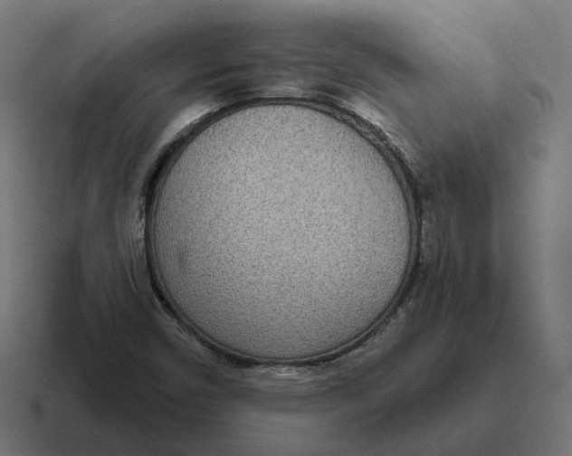 X0000116811450200912311946