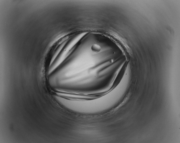 X0000116811453200912311946