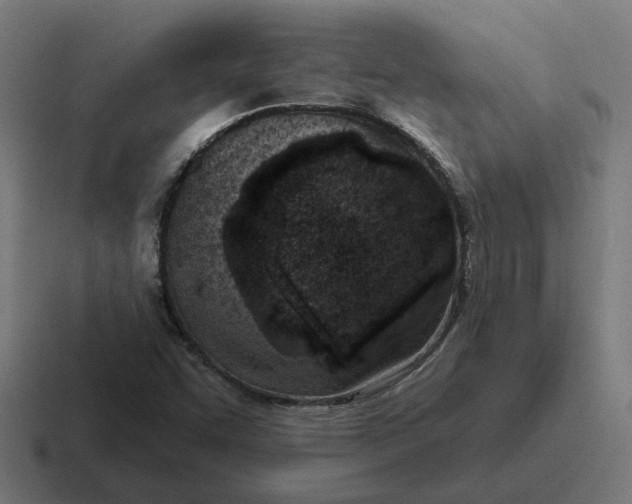 X0000116811455200912311946