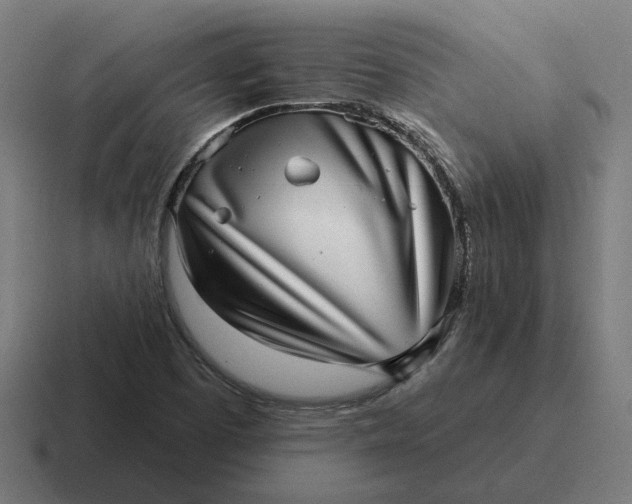 X0000116811457200912311946