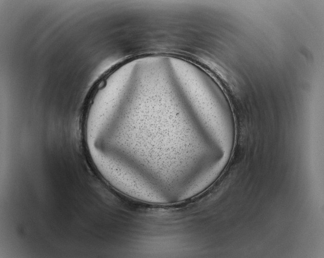 X0000116811458200912311946