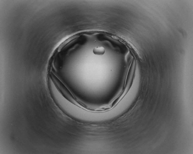 X0000116811460200912311946