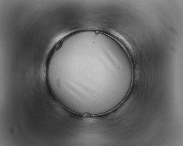 X0000116811461200912311946