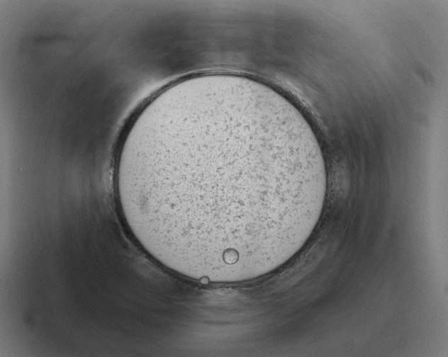 X0000116811462200912311946