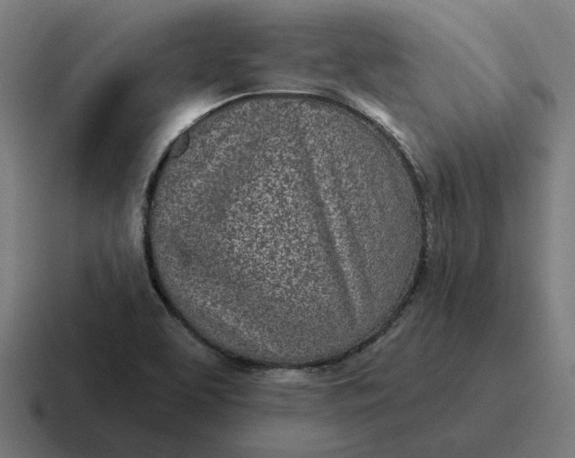 X0000116811463200912311946