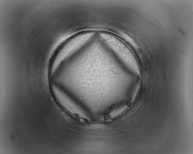 X0000116811464200912311946