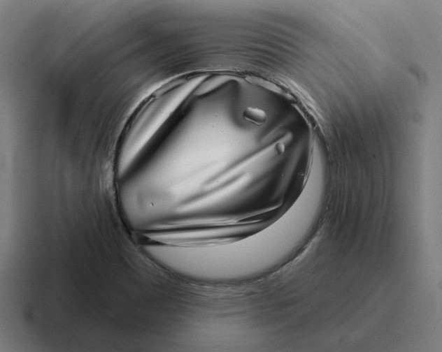 X0000116811465200912311946