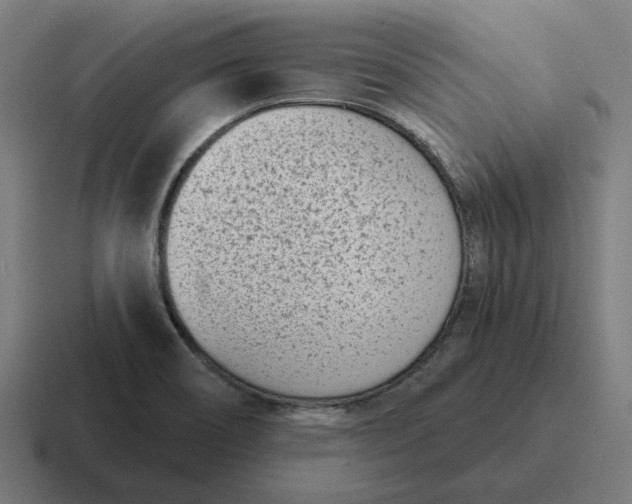 X0000116811466200912311946