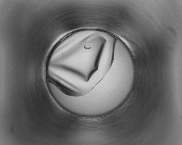 X0000116811468200912311946